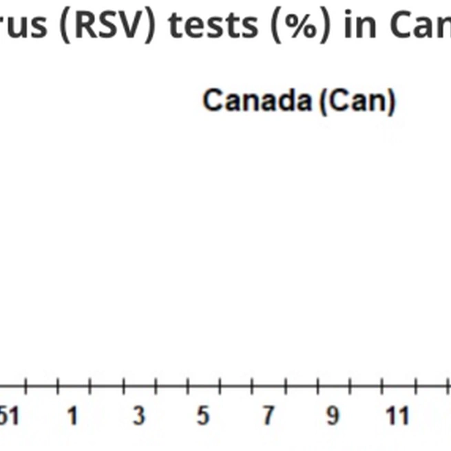 Immunity-Pause: An Alternative Explanation for the Pediatric Flu and RSV Surge